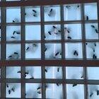 Dancing seen from underneath a glass floor. (STC San Fransisco)
