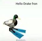Drake from the anime