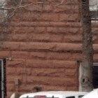 A ram-dom act of vandalism