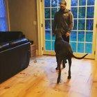 When you don't know what you're doing but ur happy to be involved