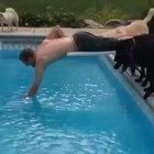 Doggo’s just trying to help