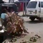 When your teammate takes the guille suit from the guy you just killed