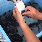 Little turtle enjoying a good bath