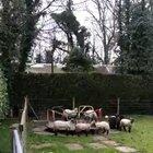 Sheep invade playground in Wales during lockdown 🐑 🎠