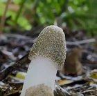 This entire subreddit when we see something slightly suggestive