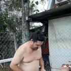 If Santa gives you coal make good use