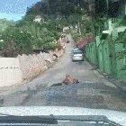 Guy chilling at a random pothole.