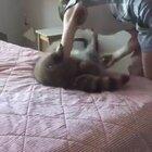 Blind girl and her cat.