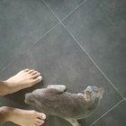 I think I've been enslaved by the deaf neighbourhood kitty.