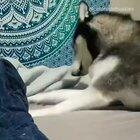 When you don’t want to get up