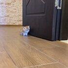 Wanted to surprise but got surprised