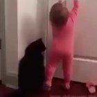 Team work makes the dream work.