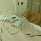 He takes care of you