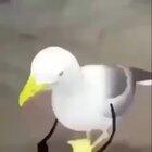 when you kill the ender dragon in minecraft