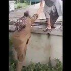 Smooth and peaceful recovery