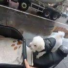 Just going for a ride