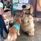 Cutest thing ive seen ❤️