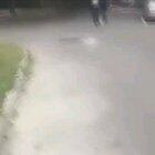 Man finds his dog on the street three years after losing him (happy Dog freak out)