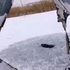 doesn’t give fishing