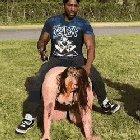 Gonna take my horse to the old town road