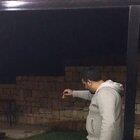 Man tees off on cat, while woman cackles in amusement. POS if there ever was one.