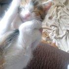 Today, Fiona decided to sleep like her sister, Sinead, taught her.