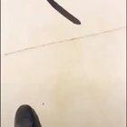 How the in the Hell...