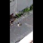 Monkey on a bicycle trying to kidnap a child...