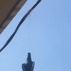 Never expected to see something like this in my balcony.