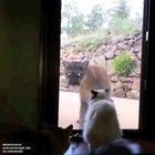 Are you kidding me? (sound on)