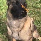 Looks like he made a new friend