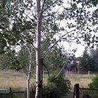 I think I made it angry?