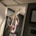 Parties can get a little out of hand sometimes!