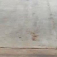 Anything can be bought for the right amount of OIL