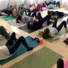 These dogs have flexible time schedules