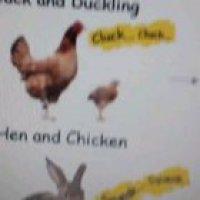 Bored in English classes