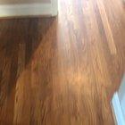 This raccoon was raised in a desk drawer. She can’t get past it.