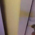 Police Break a Mans Door Down to Check he isn't having a Social Gathering