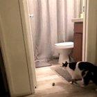 Work harder, not smarter!