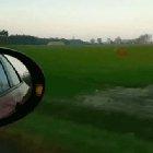 Usain Bolt among deers