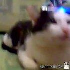 База ответьте