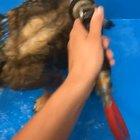 Comedic timing was perfect