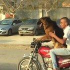 I have many questions...