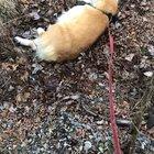 Dragged me over here like his life depended on it to do this