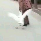 Настырный какой!!!