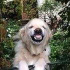 So cute yet so terrifying..