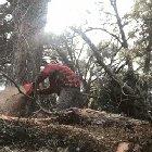 I'm a lumberjack and I'm ok.