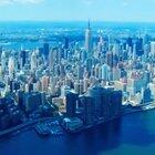 quarantine day 5: made a sitcom starring my dog