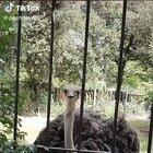 ddadgadgasdgggggggasdgae