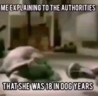 Turtle is HALAL confirmed by ALLAH!!!!!😤😤😤🙏🙏